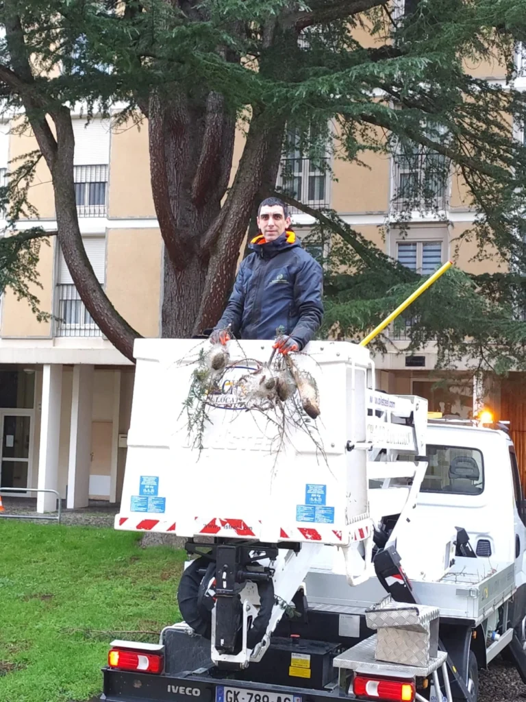 Intervention Frelon la reine 