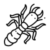 xylophage