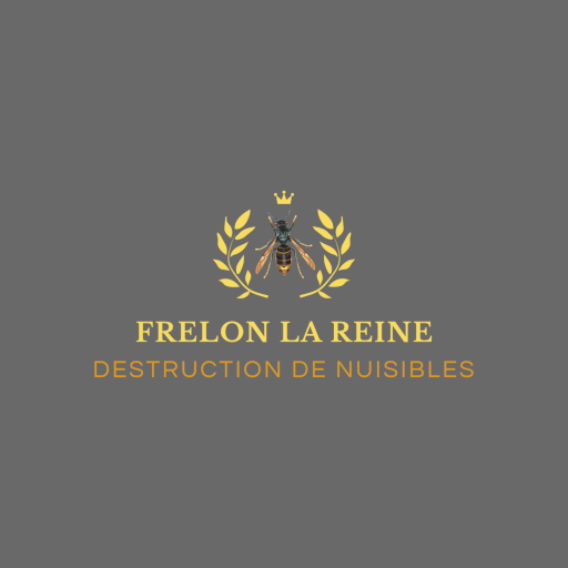 logo512x512