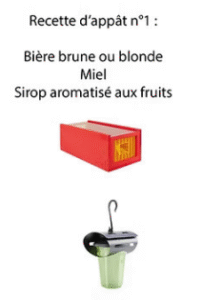 Piège a frelon numéro 1