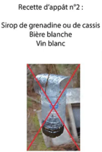 Piège a frelon numéro 2