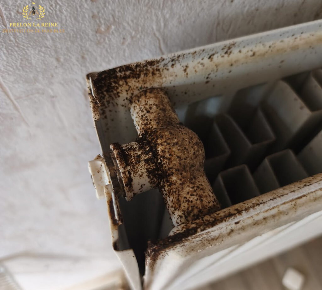 radiateur sali avec des déjections de cafards